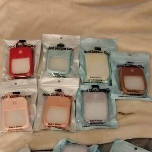 Dollar Tree B-pure Silicone Hand Sanitizer Case Keychain - Assorted Colors